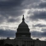 Why are Americans Going Nuts? By Howard Bloom